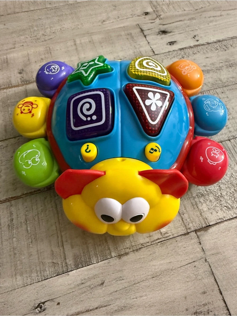 Fisher-Price multicolor interactive